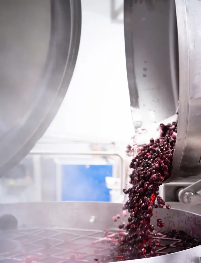Silo container fruits rouges Andros Ingredients